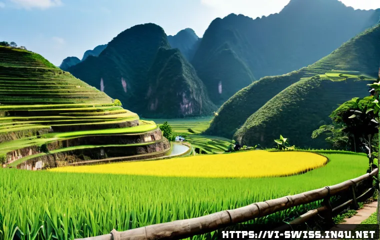 Thụy Sĩ trong Thế chiến I: Trung lập được duy trì bằng những điều kiện nào? 4 제1차 세계대전과 스위스 중립 정책 관련 이미지 2